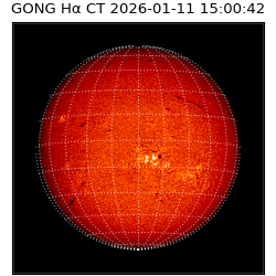 gong - 2026-01-11T15:00:42