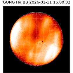 gong - 2026-01-11T16:00:02