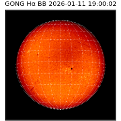 gong - 2026-01-11T19:00:02