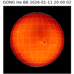gong - 2026-01-11T20:00:02