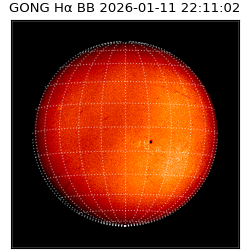 gong - 2026-01-11T22:11:02