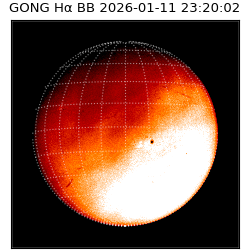 gong - 2026-01-11T23:20:02