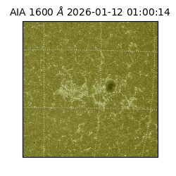 saia - 2026-01-12T01:00:14.130000