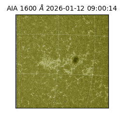 saia - 2026-01-12T09:00:14.140000