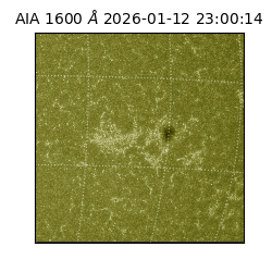 saia - 2026-01-12T23:00:14.120000