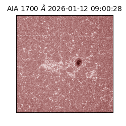 saia - 2026-01-12T09:00:28.720000