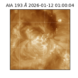 saia - 2026-01-12T01:00:04.840000