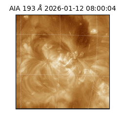 saia - 2026-01-12T08:00:04.840000