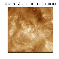 saia - 2026-01-12T23:00:04.830000