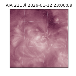 saia - 2026-01-12T23:00:09.620000