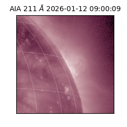 saia - 2026-01-12T09:00:09.630000