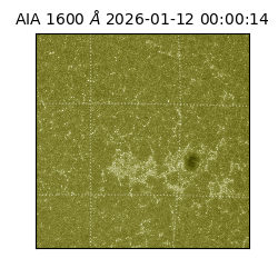 saia - 2026-01-12T00:00:14.130000