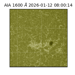 saia - 2026-01-12T08:00:14.130000
