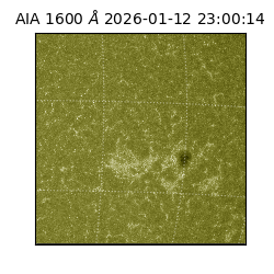 saia - 2026-01-12T23:00:14.120000