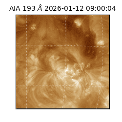 saia - 2026-01-12T09:00:04.840000
