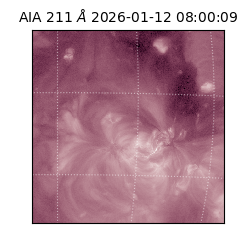 saia - 2026-01-12T08:00:09.630000