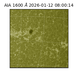 saia - 2026-01-12T08:00:14.130000