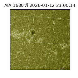 saia - 2026-01-12T23:00:14.120000