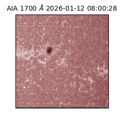 saia - 2026-01-12T08:00:28.720000