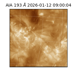 saia - 2026-01-12T09:00:04.840000