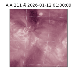 saia - 2026-01-12T01:00:09.630000