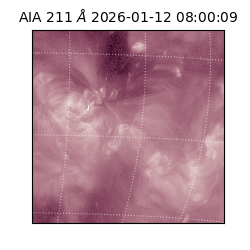 saia - 2026-01-12T08:00:09.630000