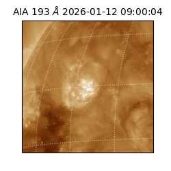 saia - 2026-01-12T09:00:04.840000