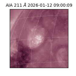 saia - 2026-01-12T09:00:09.630000
