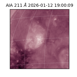 saia - 2026-01-12T19:00:09.630000
