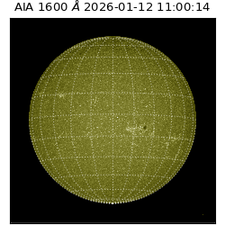 saia - 2026-01-12T11:00:14.130000