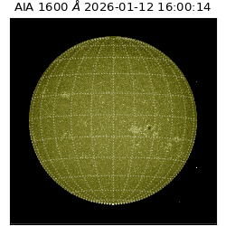 saia - 2026-01-12T16:00:14.130000