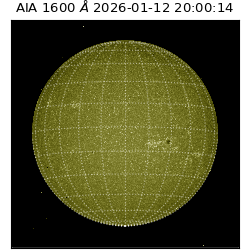 saia - 2026-01-12T20:00:14.130000