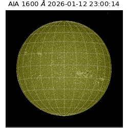 saia - 2026-01-12T23:00:14.120000