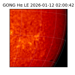 gong - 2026-01-12T02:00:42