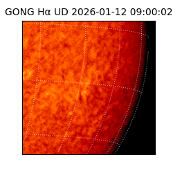 gong - 2026-01-12T09:00:02