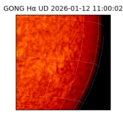 gong - 2026-01-12T11:00:02