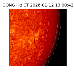 gong - 2026-01-12T13:00:42