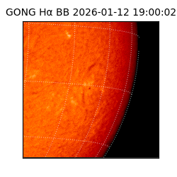 gong - 2026-01-12T19:00:02