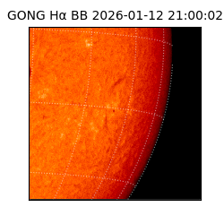 gong - 2026-01-12T21:00:02