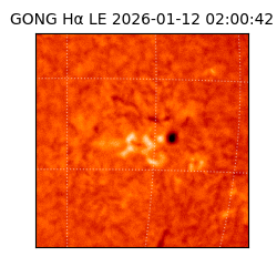 gong - 2026-01-12T02:00:42