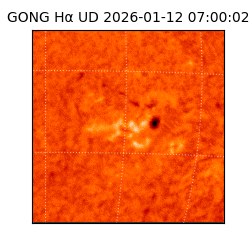 gong - 2026-01-12T07:00:02