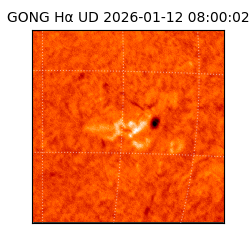 gong - 2026-01-12T08:00:02