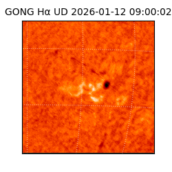 gong - 2026-01-12T09:00:02