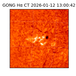 gong - 2026-01-12T13:00:42