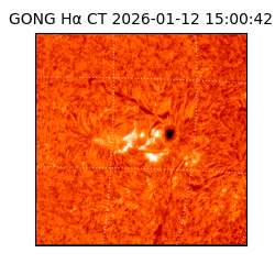 gong - 2026-01-12T15:00:42