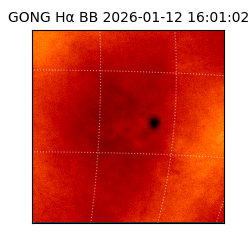 gong - 2026-01-12T16:01:02