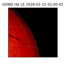 gong - 2026-01-12T02:00:42
