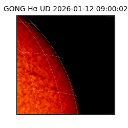 gong - 2026-01-12T09:00:02