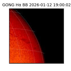 gong - 2026-01-12T19:00:02