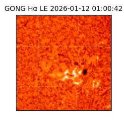 gong - 2026-01-12T01:00:42